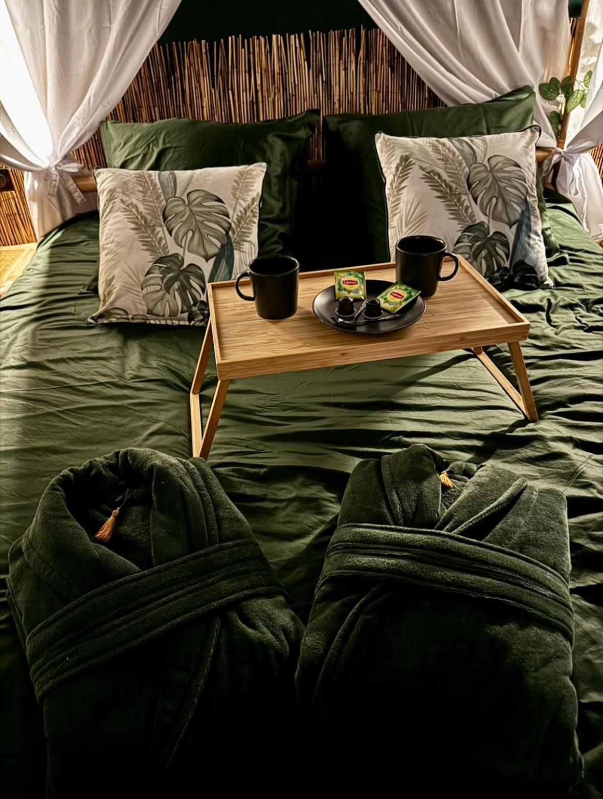 Jungle Love Room Τουλούζη Εξωτερικό φωτογραφία